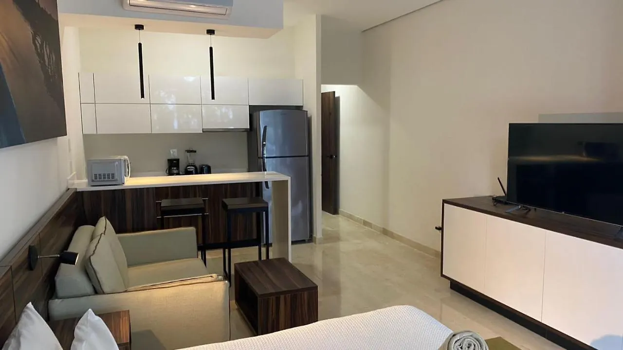 Estudio Moderno Y Zona Exclusiva تولوم المكسيك